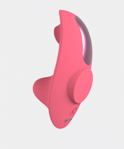 wearable vibrator with panty